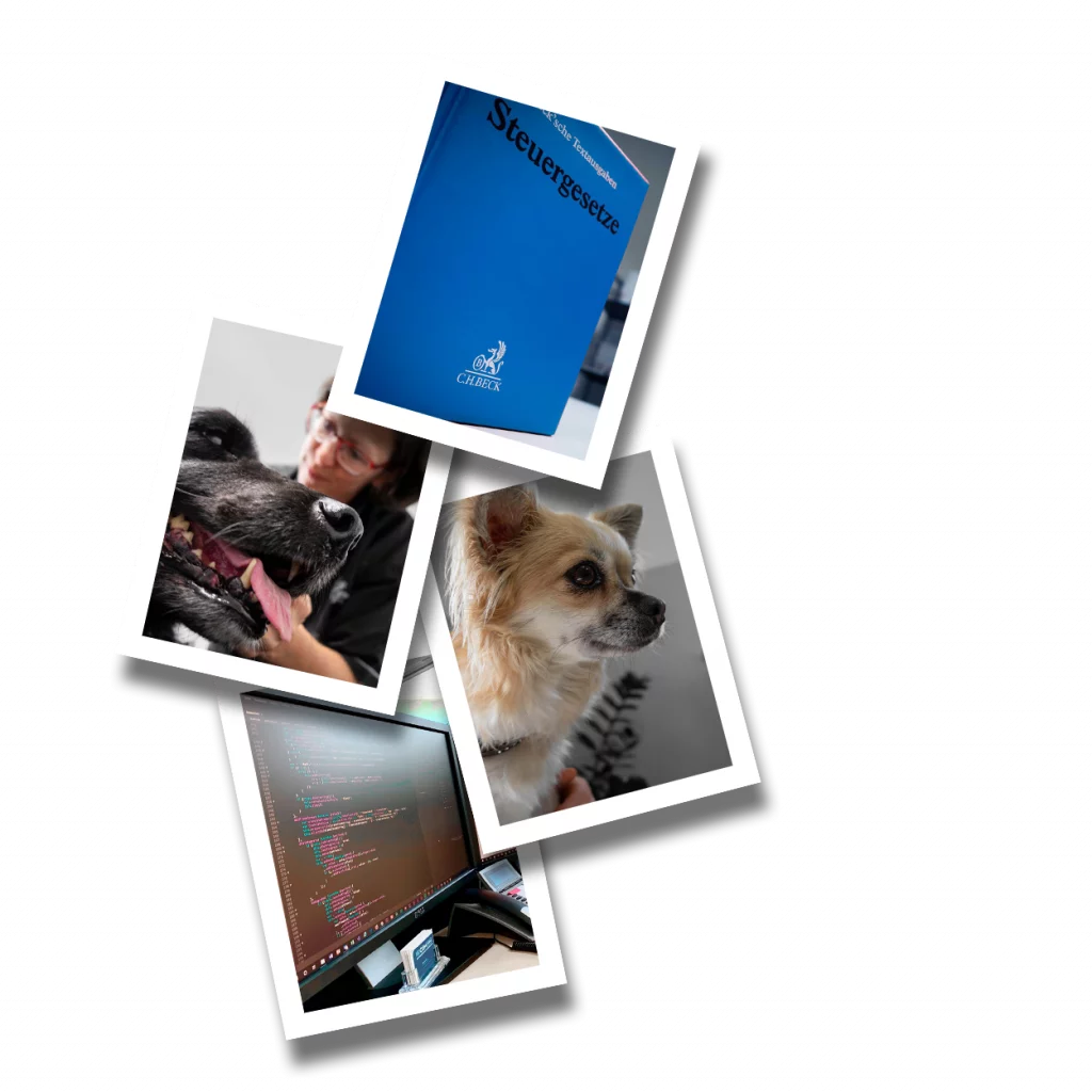 Professionelle Bilder für Ihre Unternehmenspräsentation.